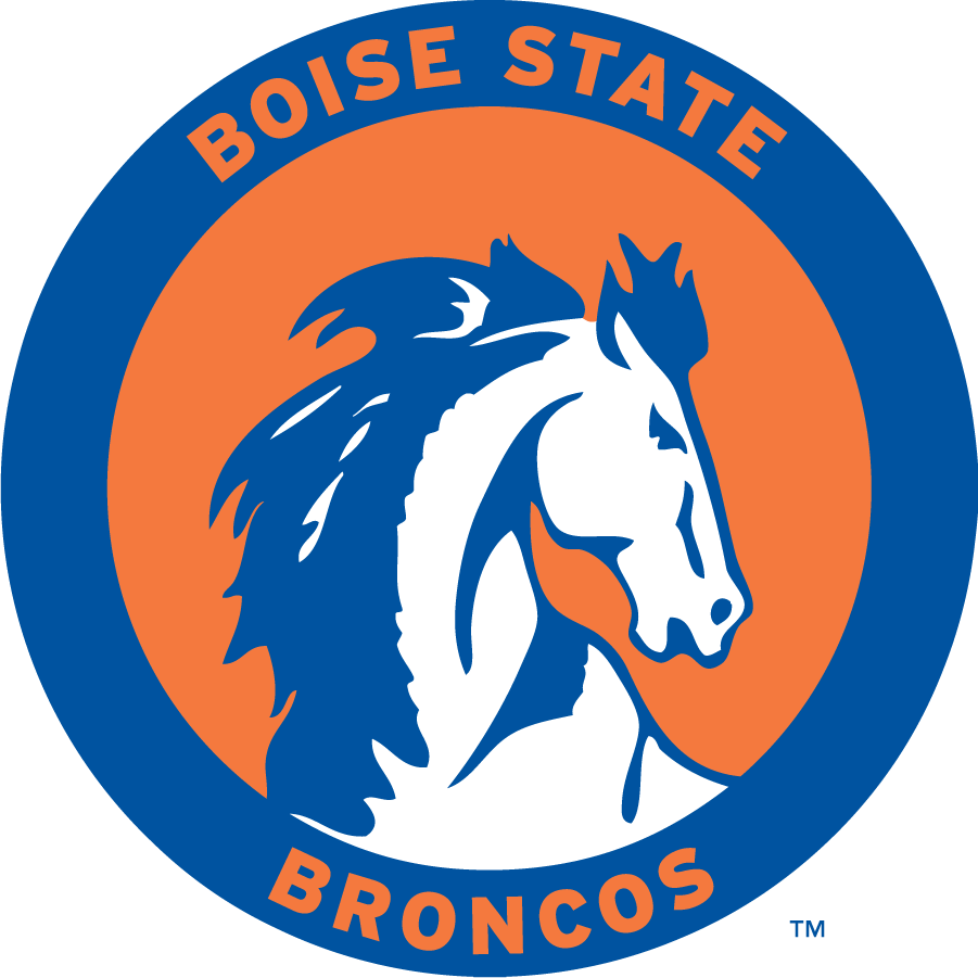 Boise State Broncos 1969-1974 Primary Logo iron on transfers for clothing